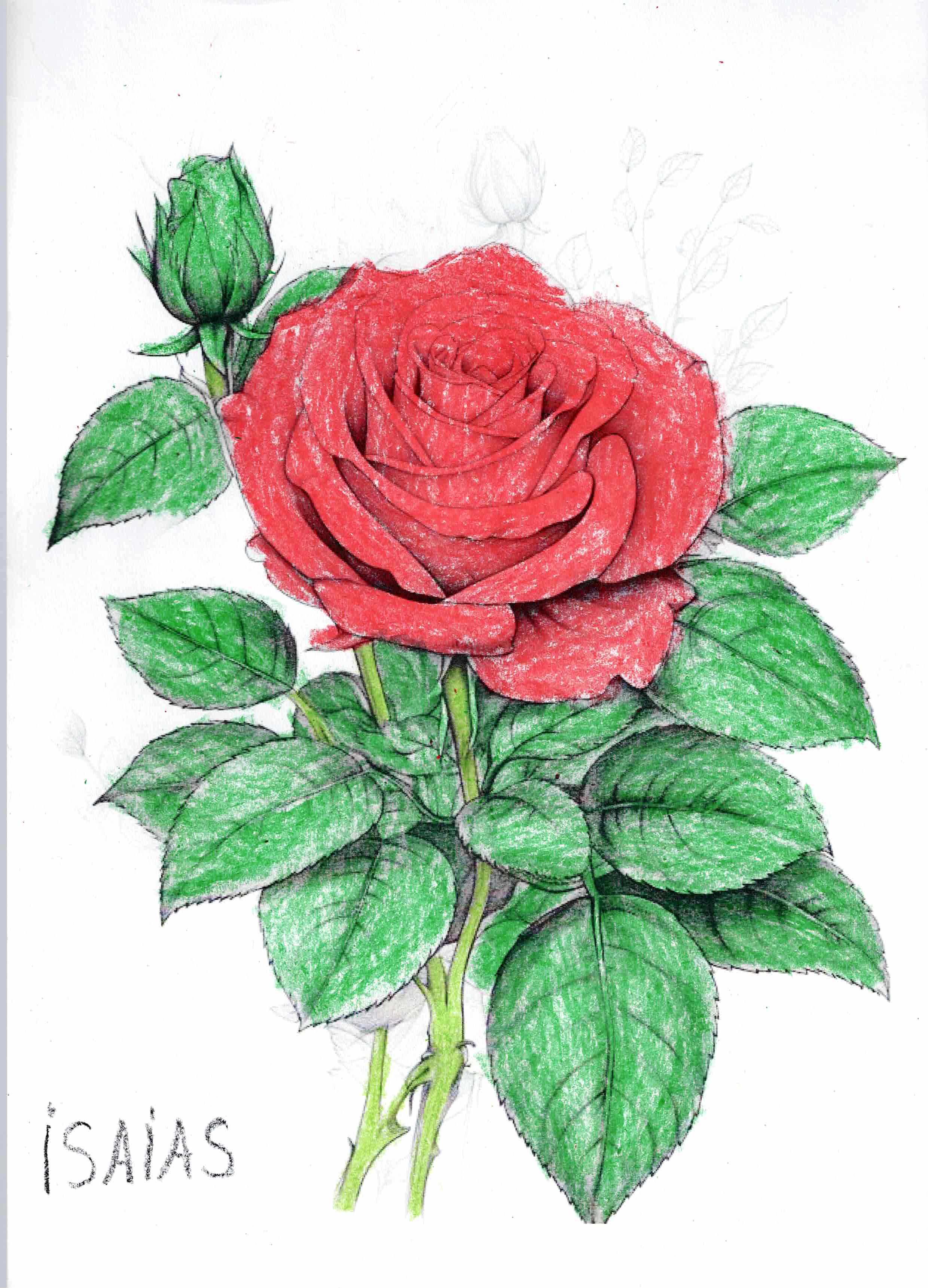 Segunda obra by Isaias